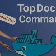 Basic Docker Commands Tutorial For Beginners Useful List With Examples Sematext