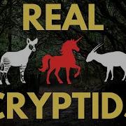 10 Cryptids That Turned Out To Actually Exist