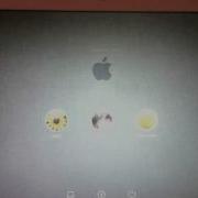 Mac OS X Lion Installation Quick Preview