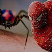 From Spider Bite To Web Slinging CLIP 4K