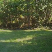 S W 460 Shoots A Watermelon
