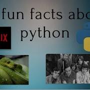 10 Fun Facts You Don T Know About Python I Programming Kids