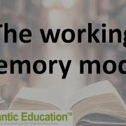 A Brief Summary Of The Working Memory Model IB Psychology