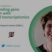 IDIBELLconnect Understanding Gene Regulation With Single Cell Transcriptomics
