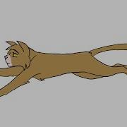 Cat Run Cycle Animation Test