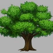 How To Make A Tree Using Turtle In Python Use Recursive Functions To Draw A Tree