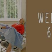 6 Weeks Pregnant Pregnancy Week By Week