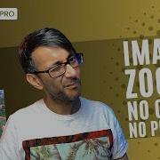 Elementor Wordpress Tutorial Image Zoom With No Code And No Plugin