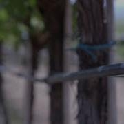 Italian Water Utility Goes Digital With ABB Ability