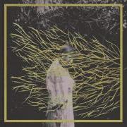 Forest Swords Friend You Will Never Learn