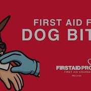 First Aid For Dog Bites