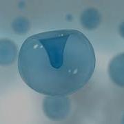 Cavitation Animation