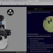 HOL VScope Demo How To Use The Virtual Microscope