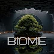 Ethereal Biome Music For Undisturbed Work Organic Focus Deep Focus Protocol