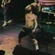 Agnostic Front Sick Of It All Gorilla Biscuits Live In NY 1991