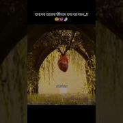 Srayoshi 143 Bestfriend Love Song Music Shorts Viral Srayoshi Foryou