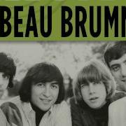 The Beau Brummels Laugh Laugh