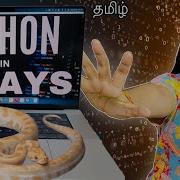 How I Learnt Python Programming In 7 Days Revealing The Mass Strategy I Used