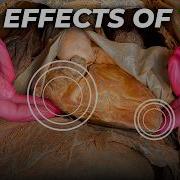 This Is What THC Does To The Body
