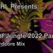 Best Of Jungle 2022 Part 3 The Hardcore Mix