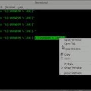 BASH Lotto Number Generator Linux Tutorial