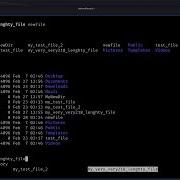 Boost Linux Speed With Tab Auto Completion Command Line Like A Pro