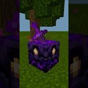 Minecraft TikTok Build Hack Shorts