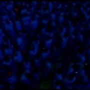 Sensation 2007 Megamix