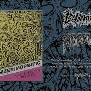 GALVANIZER MORBIFIC Split Full EP Stream