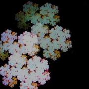 Fractal Feedback