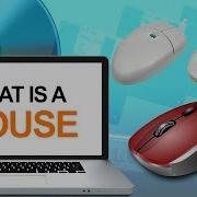 What Is A Computer Mouse Definition Types Of Mouse How To Use Mouse Computer Hardware