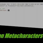 Python Regular Expression 4 Metacharacters