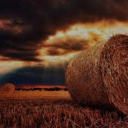 540 Hz Gratitude Vibration W Nature For Early Morning Meditation