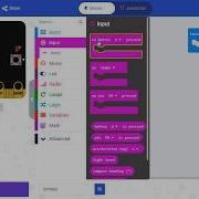 MicroBit What Are Variables And Constants