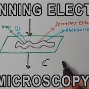 Principle Of Scanning Electron Microscopy SEM