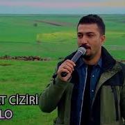 Rojhat Arsu Bilbilo Nu Yeni 2020