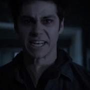 Void Stiles Animals