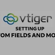 Vtiger Custom Fields And Workflows