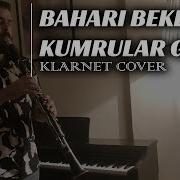 Baharı Bekleyen Kumrular Gibi Bilge Kaan Klarnet Cover