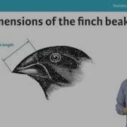 Python Tutorial Statistical Thinking In Python II Part 5