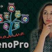 КАК построить древо в программе ГеноПро инструкция