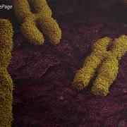 Inside The Living Cell