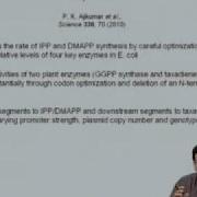 Mod 10 Lec 40 Metabolic Engineering Synthetic Biology