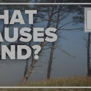 Weather IQ What Causes Wind