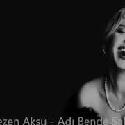 UZAK DİYARLARDA SEZEN AKSU