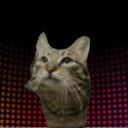 MeowSynth Dancin