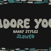 Harry Styles Adore You Slowed Reverb Lyrics