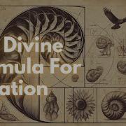 This Sacred Geometry Will Help You Understand The Universe Fibonacci Spiral Golden Ratio