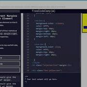 Basic CSS 20 44 Add Different Margins To Each Side Of An Element FreeCodeCamp