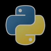 The Python Experience